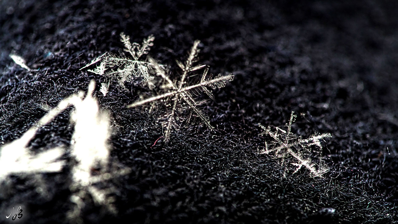 Mehr über den Artikel erfahren Schnee oder aller Anfang ist schwer